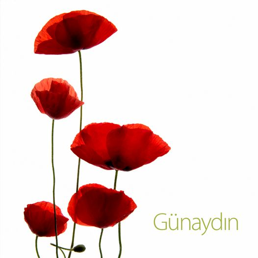 🌹🍃🍵🌹 ☀#GÜNAYDIN ☀🌹🍃 🌼🌹♡#MUTLU #SABAHLAR♡🍃 🌼Huzurlu Mutlu Bir Gün Diliyorum Her Şey Gönlünüzce Olsun..🌹🌼🍃 🌹•*`*•.¸..¸¸¸.* 🌼🌹#SEVGİLER... 💙