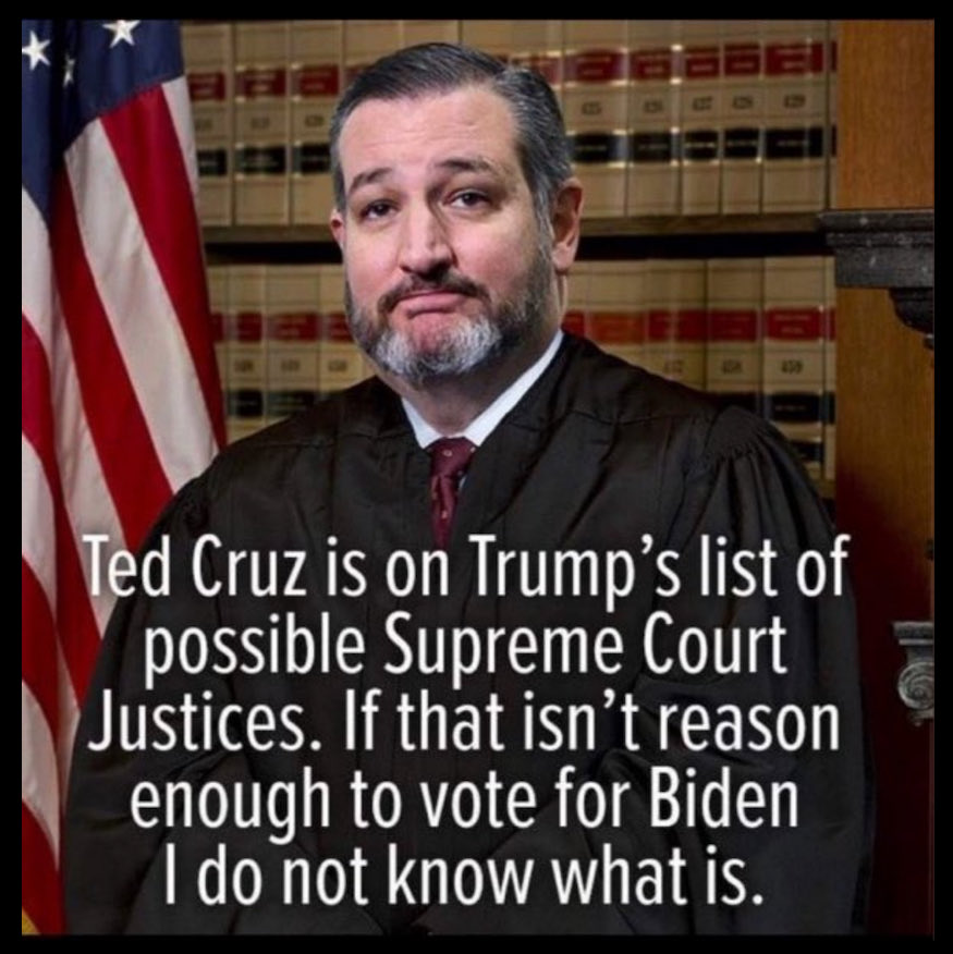 OMG, anyone who thinks that 'Cancun' Cruz is suitable for the Supreme Court must surely be UNFIT for President?

Raise a ✋ if you agree! 🙋‍♂️

#VoteBlueForSanity #BidenHarris2024