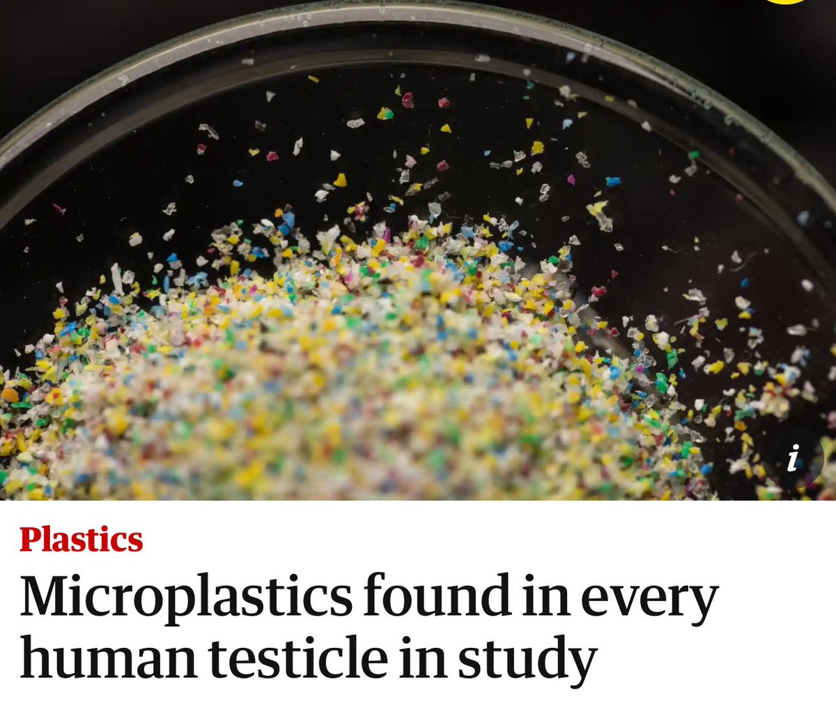 Microplastics in testicles? I guess I don’t have balls of steel