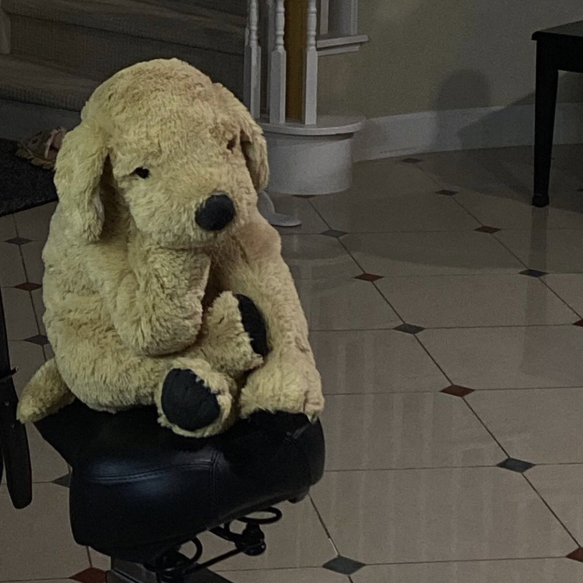 เปนแค่ม๋าเก่า ๆ เดี๋ยวก้คงโดนทิ้ง 😞