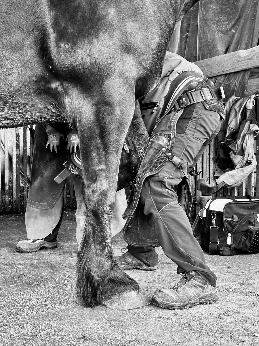 Daniel Anz / F-Balance tweet media