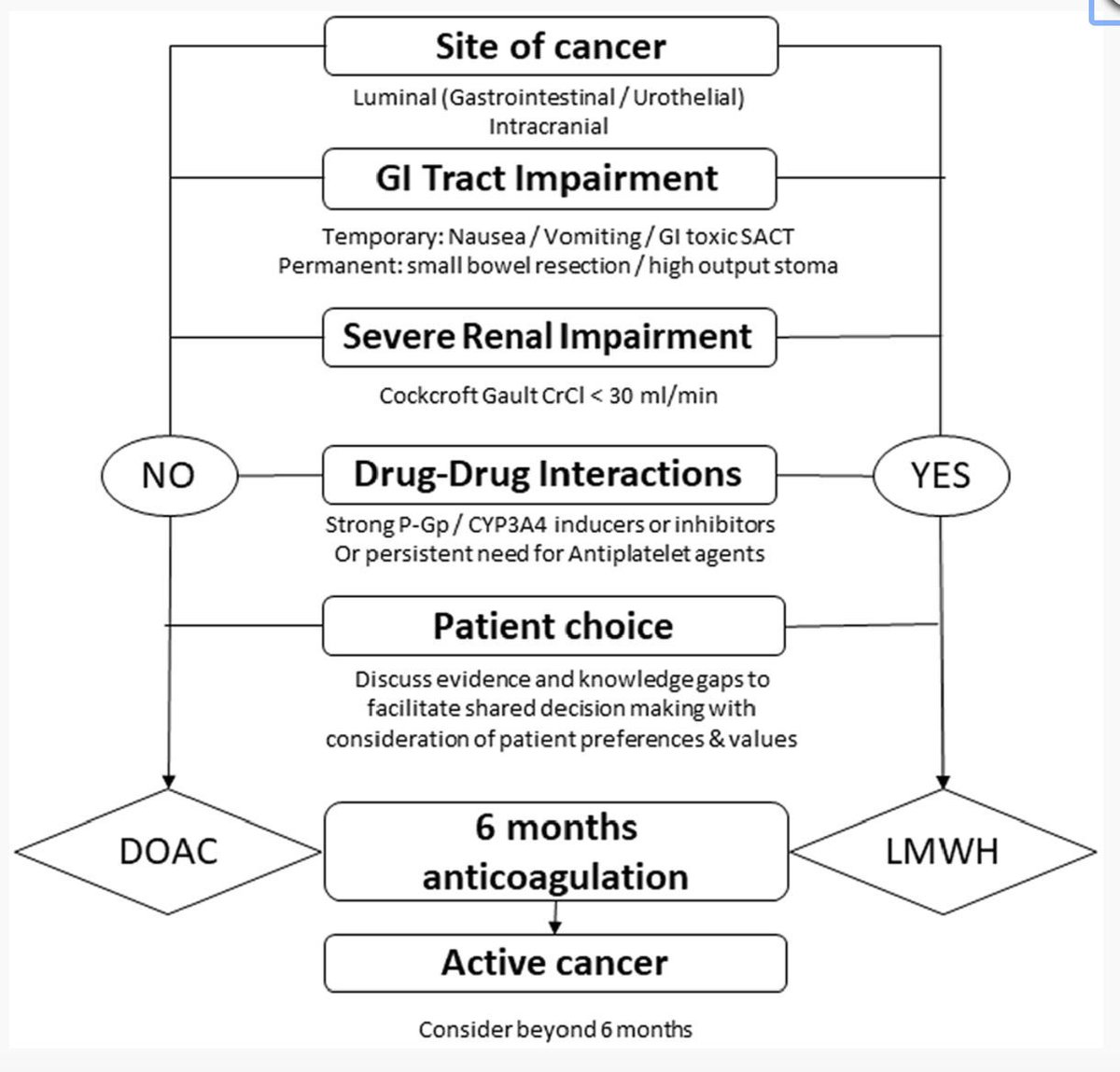 BrJHaem's tweet photo. Cancer- associated venous thrombosis in adults (second edition):  A British Society for Haematology Guideline 
https://t.co/OmcnEpBArk 
@BritSocHaem https://t.co/c9YNZwft3u