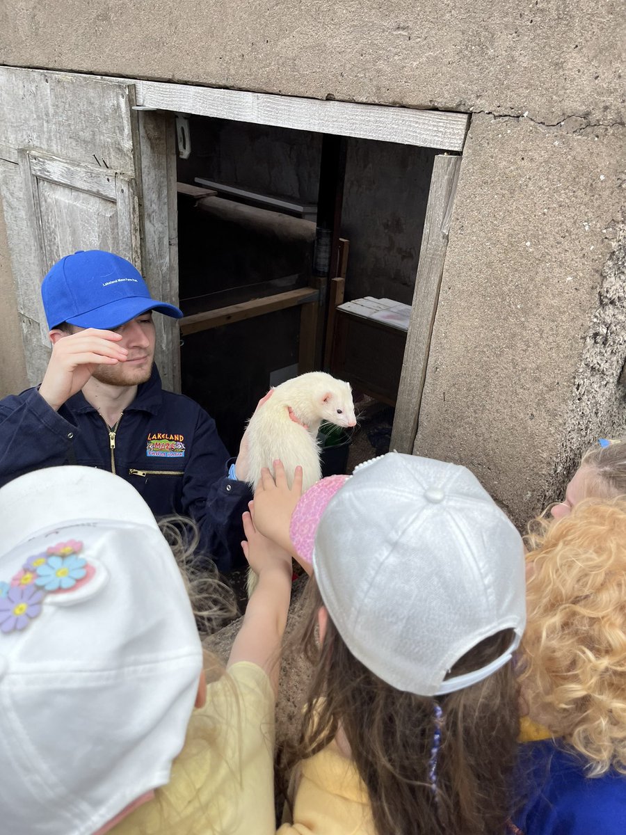 southwalneyinf's tweet photo. Fun on the farm for our fabulous Reception children yesterday. They had the best day and were little stars! 🤩#SWINS https://t.co/xrkRrXMjiZ