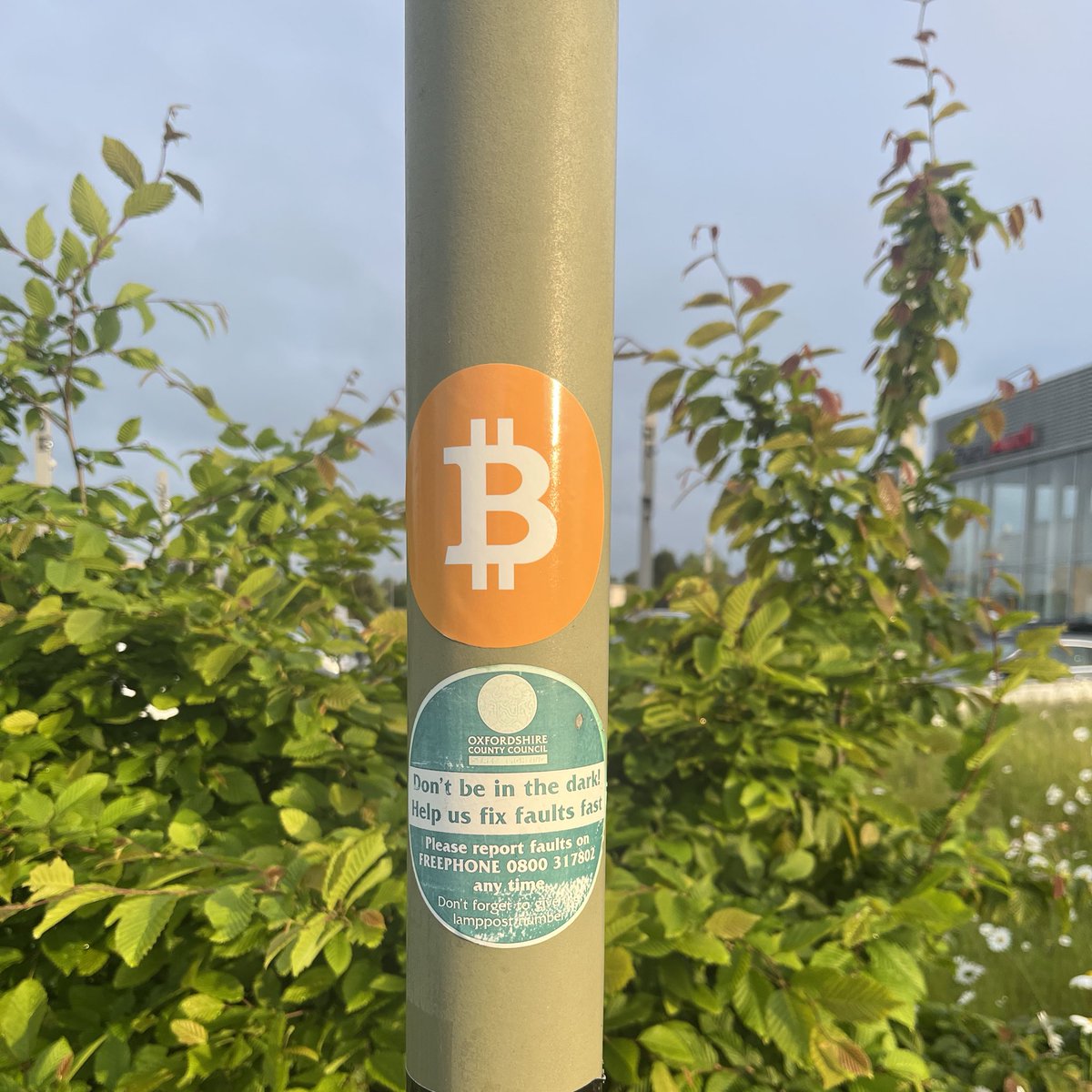 JosiasCarbon's tweet image. ‘Don’t ₿e In The Dark, Learn About #Bitcoin Fast!’

#FixTheMoney🪛💷 #FixTheWorld🌍☮️