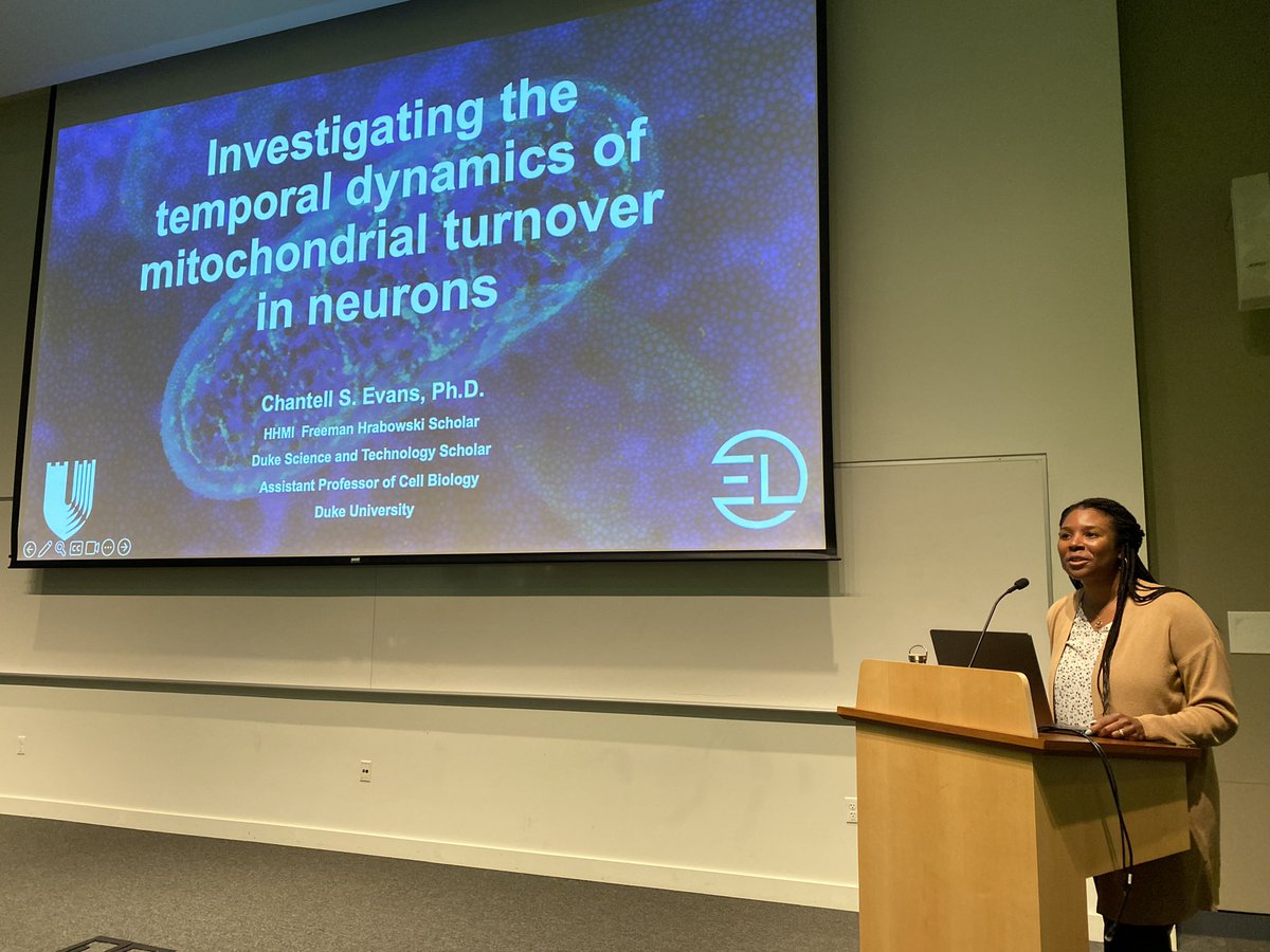 Loved getting to invite @channyskye PI of @EvansLab @DukeCellBiology to visit us @UWISCRM @UWMedicine. Was excited she got to see @SimpsonLabUW & had lovely #Seattle weather today. She gave an awesome talk on #mitochondria + #mitophagy, explaining how neurons take out the trash.