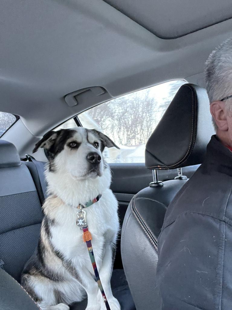 I want to have you my baby