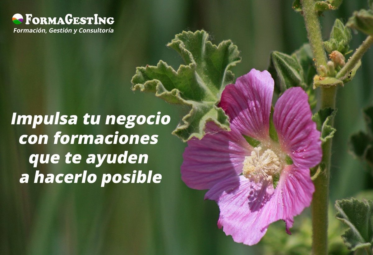 formagesting's tweet photo. #BuenosDíasATodos #formacionprogramada #fundae #empresas #formagesting https://t.co/LQ0kLoByd8
