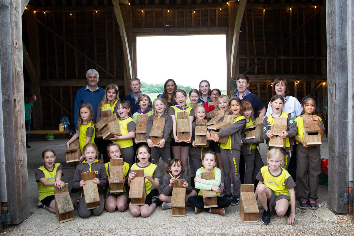 These girls certainly CAN! 7-10 yr old Brownies. Drills, screwdrivers, carpentry. 20 girls, 20 bird boxes. Nature protected. Girls empowered. ✨👊✨ Without volunteers this couldn't have happened. #Volunteeringmatters @SoilAssociation @Girlguiding @Guiding_LaSER