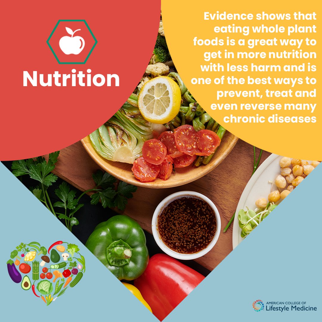 ACLifeMed's tweet image. ACLM recommends a plant-predominant eating pattern, meaning the bulk of what you eat should come from whole-food sources like fruits, vegetables, grains, nuts/seeds &amp;amp; beans.

Eating a balanced diet is essential for well-being &amp;amp; small changes can lead to big improvements. #LMWeek