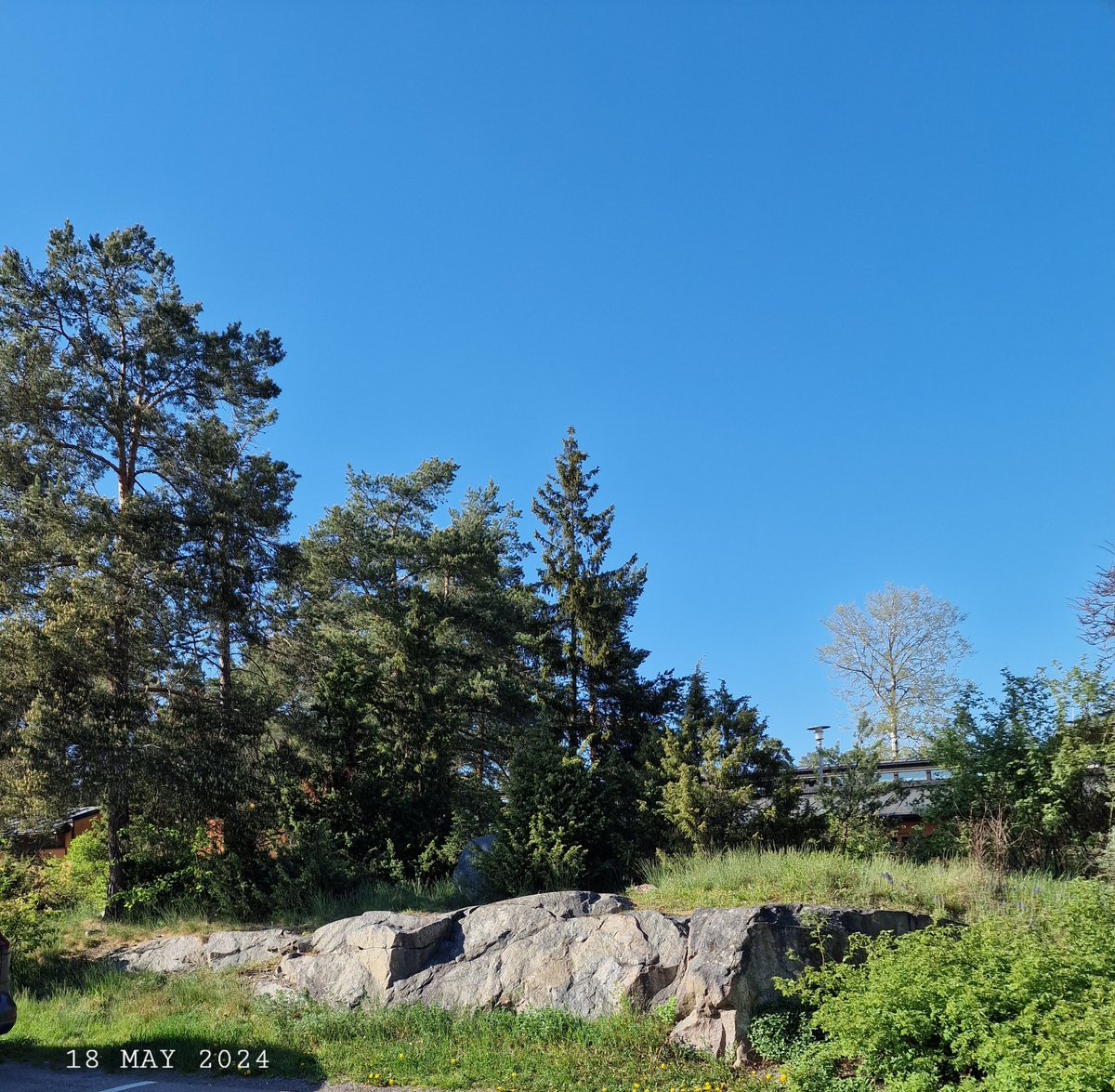 IDadzkov's tweet photo. Rock. Klippa.  Скала.
#nature #spring #view #rock #klippa #trees #grass #ViewsPhoto #SpringPhoto https://t.co/J5H4wKZKpi