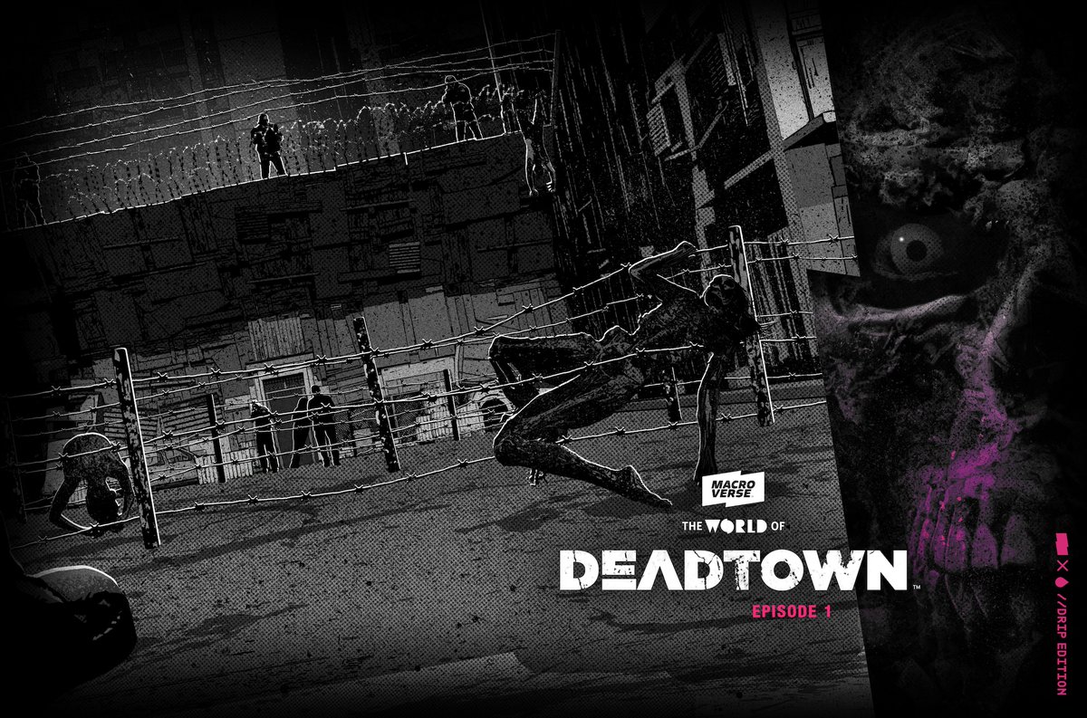 Macroverse ⚡️ tweet media