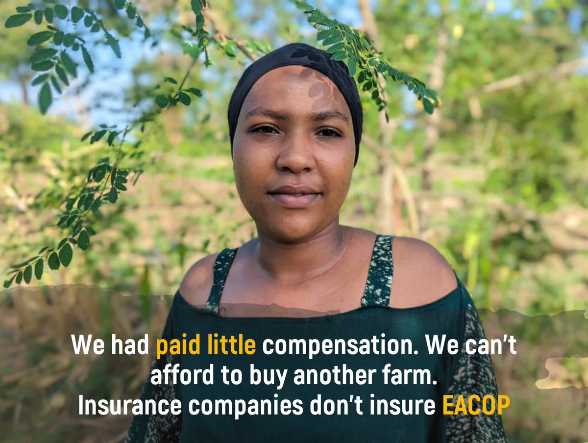 The EACOP affected people were paid little compensation! They can’t afford to buy land in other areas, one of the affected people narrates story 👇🏽 . The insurance and oil companies must stop such investments. #stopEACOP