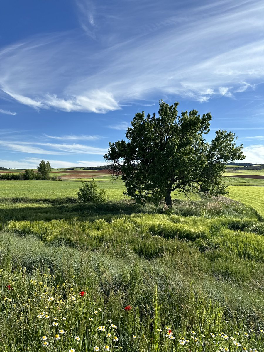 The beauty of a landscape is a special attraction. We put landscapes in our lives. 😘💚💙