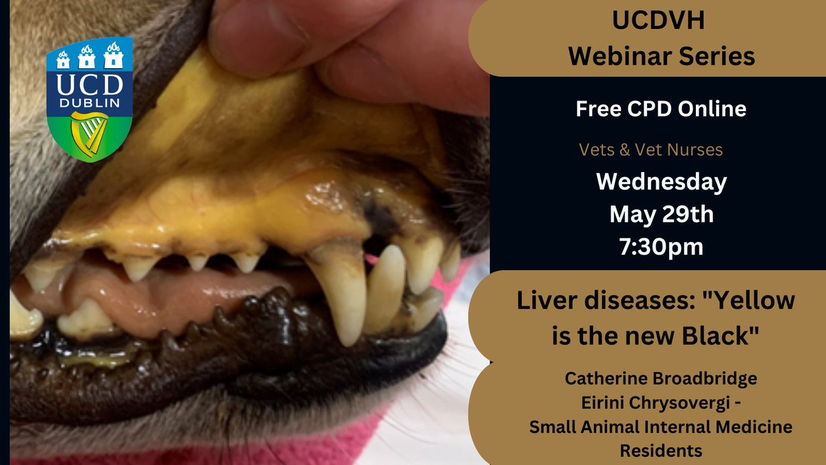 The UCDVH Webinar Series is back on 29 May @ 7.30pm with Catherine Broadbridge & Eirini Chrysovergi presenting on liver diseases in companion animals. This is a free event for vets & vet nurses and registration is essential. Reg here with your VCI number: tinyurl.com/57zb6djx