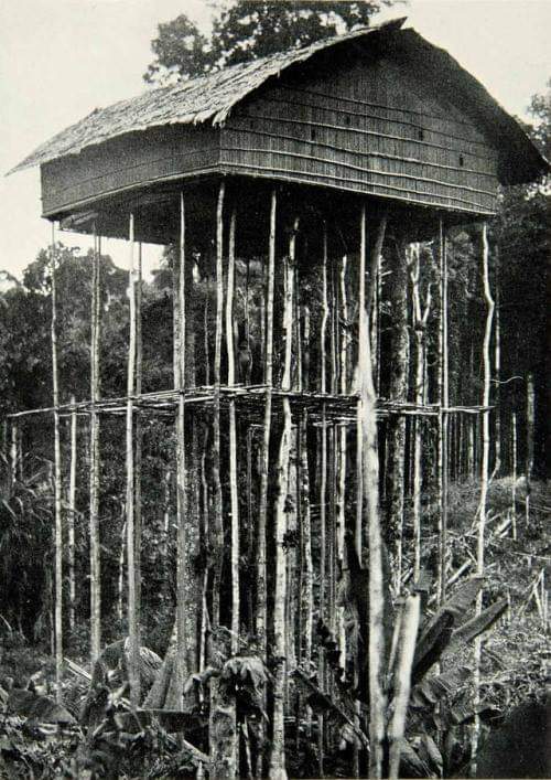 Stilt Pole House, Pygmy Village, in Papua New Guinea Architecture, photography by Dr. E.W. Brandes, 1929, in National Geographic Magazine 9 #architecture #arquitectura