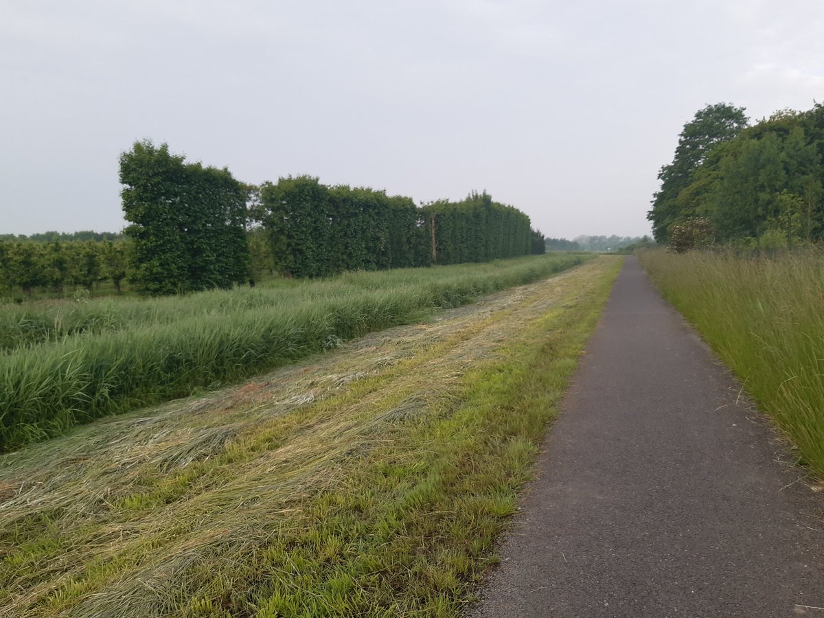 Toch een beetje jammer, <a href="/GemeenteGoes/">Gemeente Goes</a>, dat gemaai in de maai-mei-niet maand, langs een fiets/wandelpad....