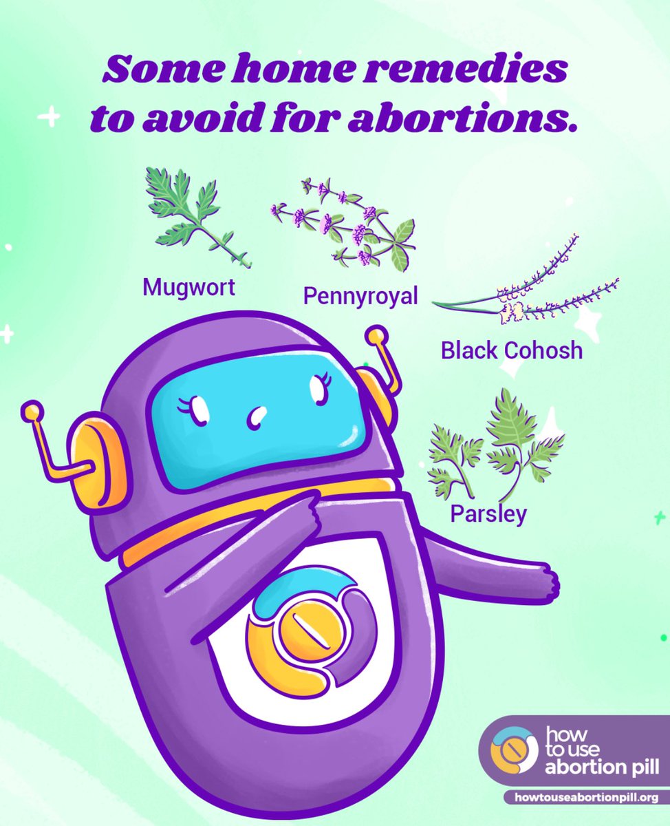 Beware of dangerous misconceptions surrounding self-managed abortions using herbs like #pennyroyal, mugwort, black cohosh, and blue cohosh. These plants contain toxins that can severely harm your health if consumed internally or in large doses.