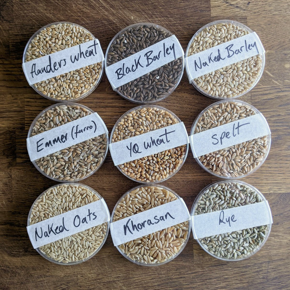 🌾 COOK WHOLEGRAIN CEREALS! Read all about cooking #wholegrains by the absorption, pasta and risotto methods. Explore our range of grains from black barley to naked oats. hodmedods.co.uk/blogs/news/who…