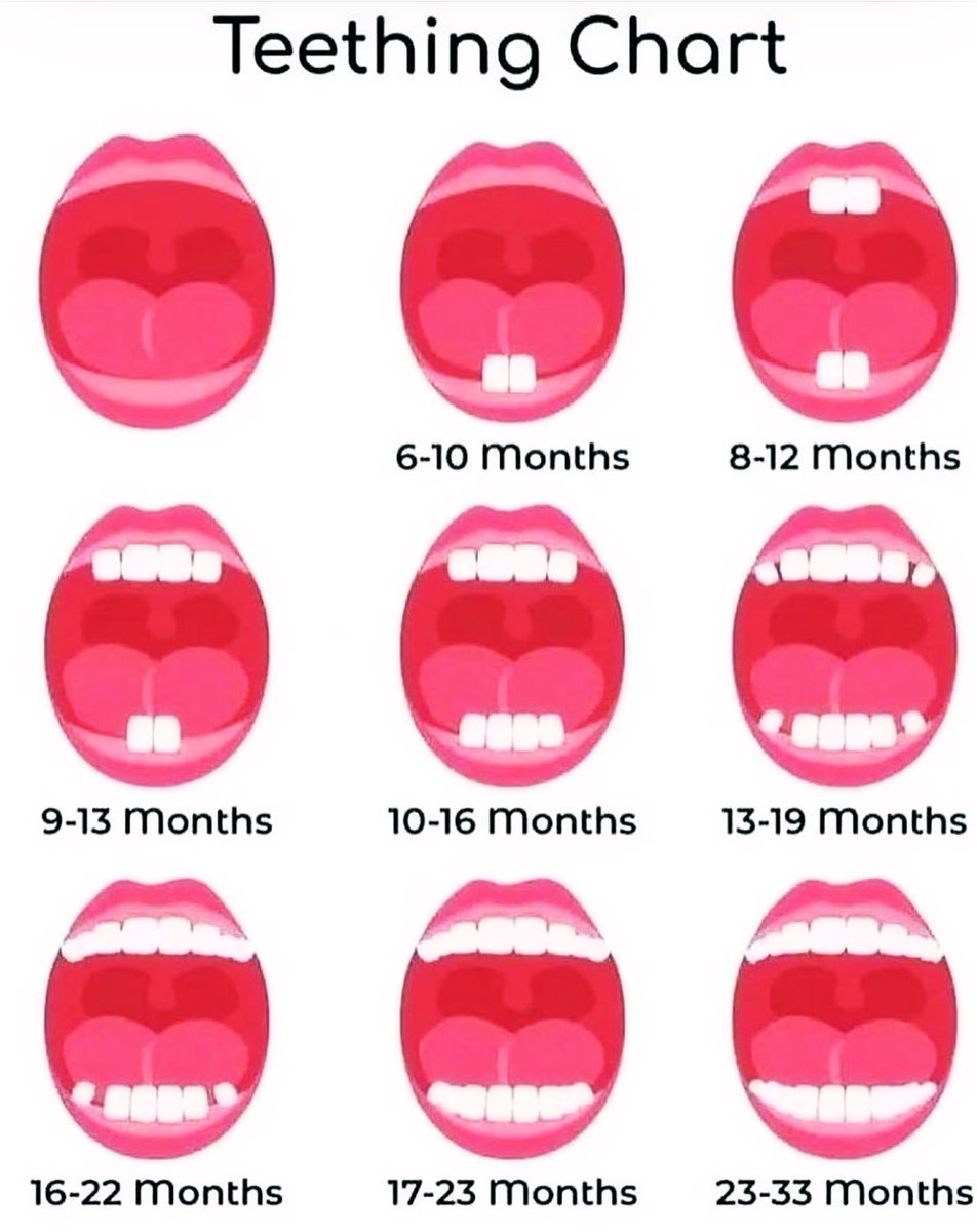 Teething chart…..

#DentalCare #Dentist