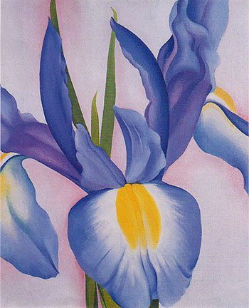Lavender Iris, 1951 by Georgia O'Keeffe #WomensArt