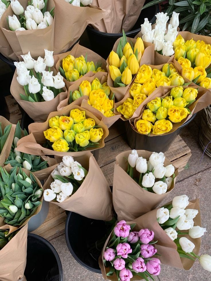 f⍳o⍵er (@flowers_7_) on Twitter photo 