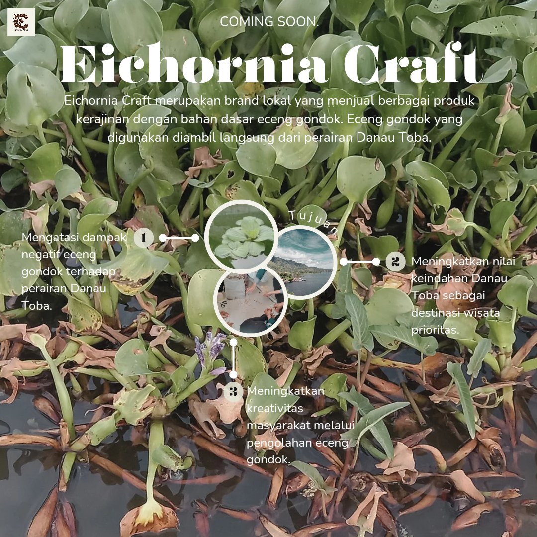 EichorniaCraft's tweet photo. Coming Soon -> https://t.co/YlnkVvDAe1