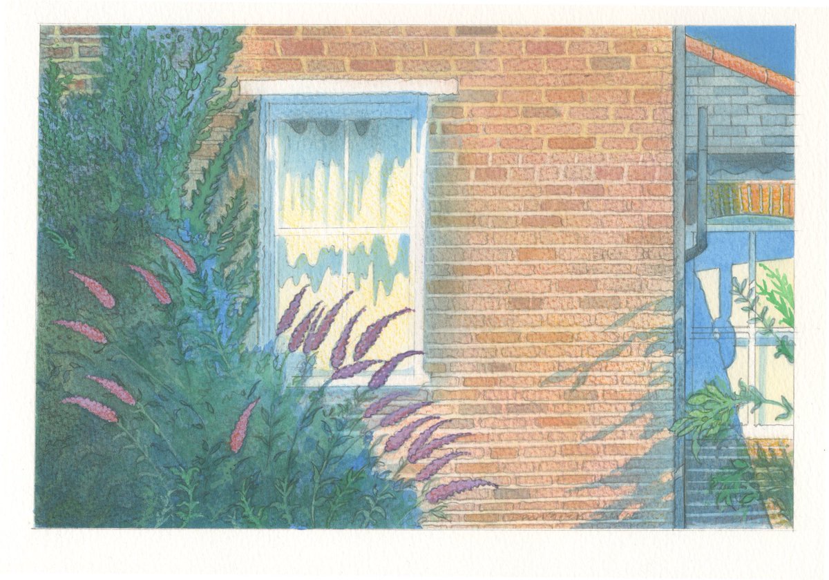 Summer Shadows: watercolour from The Light in Suburbia published by ⁦@unbounders⁩