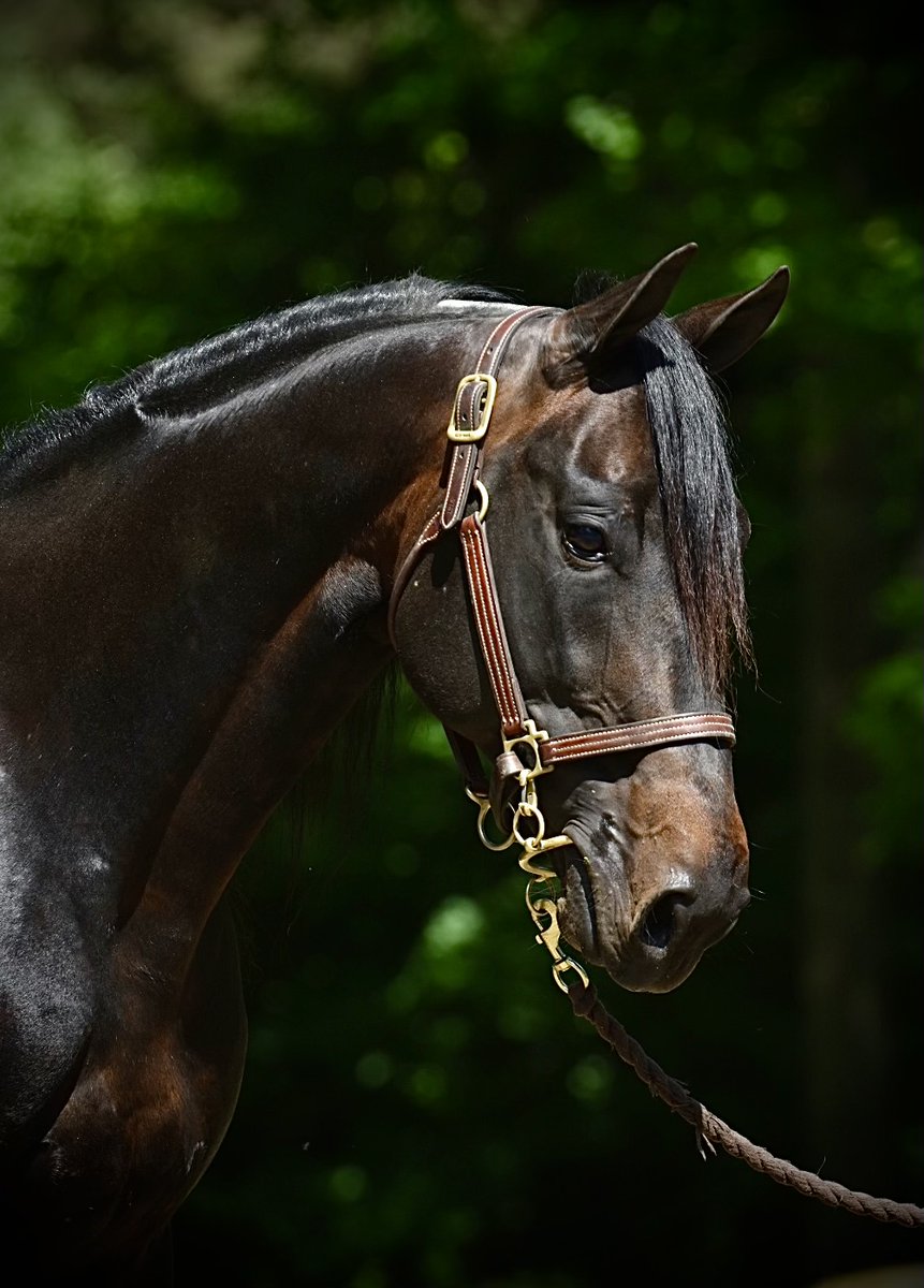 Stall Båth tweet media