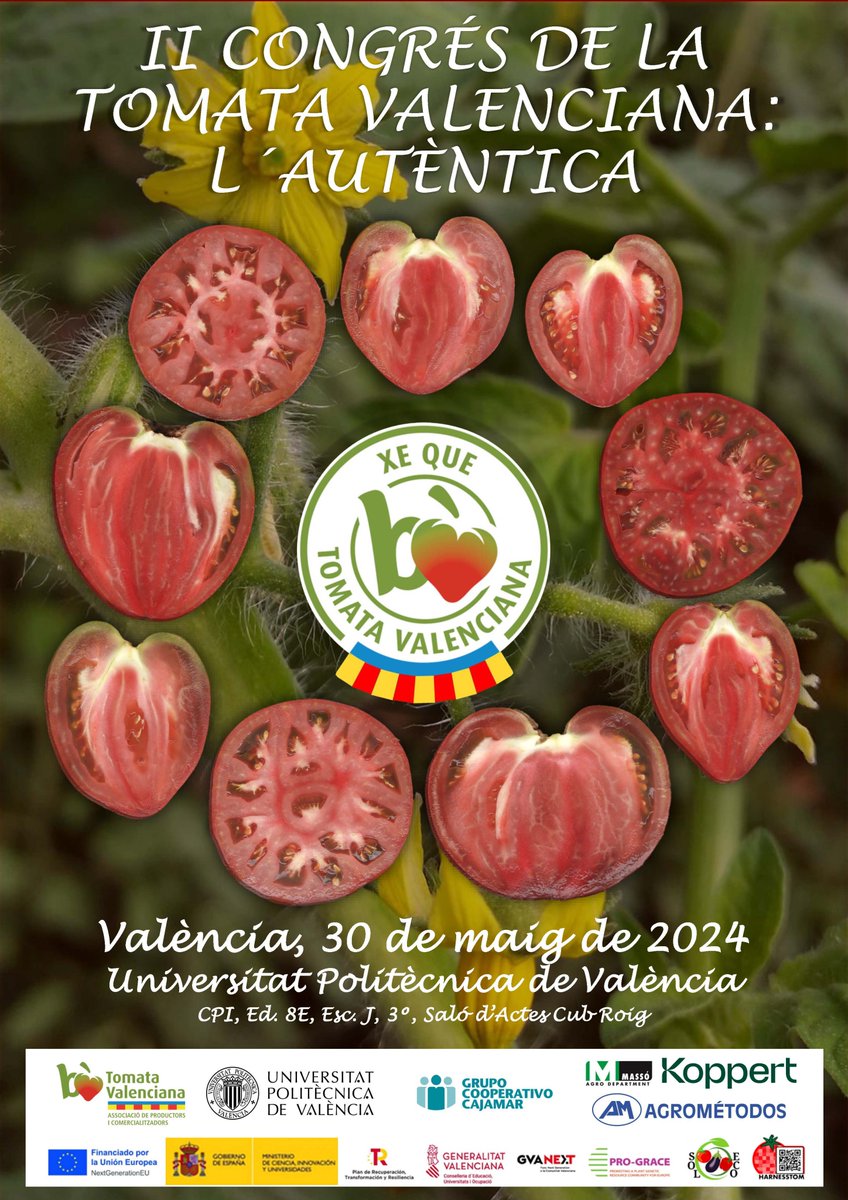 🍅 II Congrés de la Tomata Valenciana. L'Autèntica 📅 El congrés tindrà lloc el pròxim 30 de maig, a la @CPInnovacion ➡ tinyurl.com/2w3eu2m7