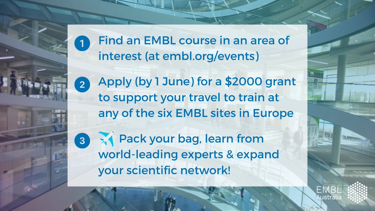 ✈️How do PhD students receive $2K towards their travel expenses to train at life science powerhouse @embl? Glad you asked! 👇

Apply now: bit.ly/emblausTG

#phdlife #aussci #phdchat #travelgrant