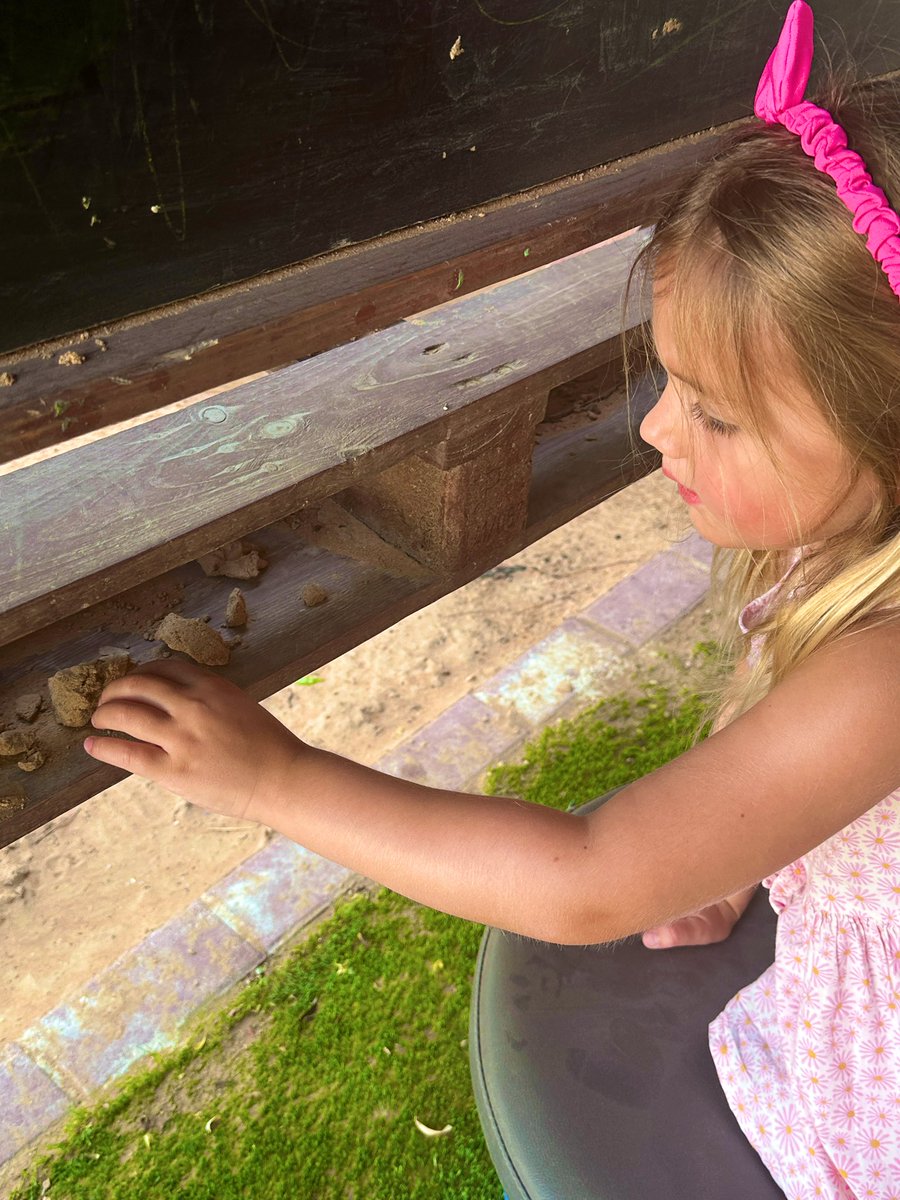 Foundation Stage 1 | The Arbor School tweet media