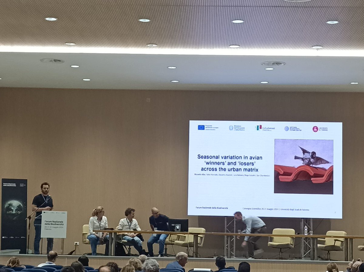 rickyalba26's tweet photo. Presenting our study on #urbanbird communities in the amazing city of Palermo at the @nbfc_italy #biodiversity forum where hundreds of researchers came to discuss about Italian #biodiversity. #nbfc #forumitalia #urbanecology https://t.co/ctdNqm2OQL