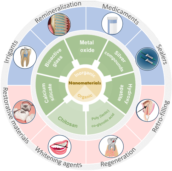BMEF11's tweet photo. Nanomaterials in Endodontics: Enhancing treatments with antimicrobial &amp; regenerative properties!New Review from BMEF:Application of Nanomaterials in Endodontics. https://t.co/jR6tznB8YY #dentistry #nanotech #endodontics @SPJournals https://t.co/BkLi3m6UhL