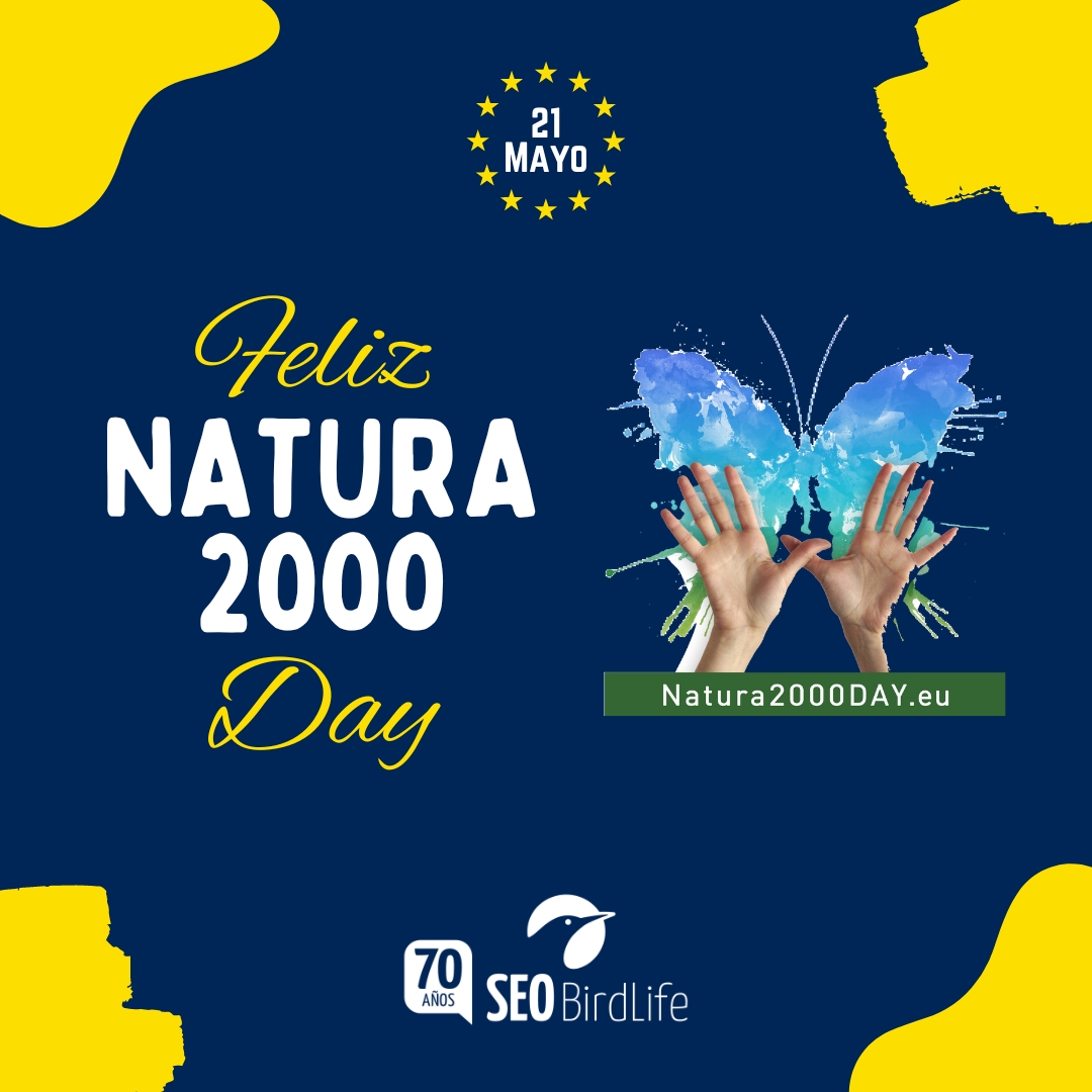 🦋🦋¡Hoy celebramos el Día Europeo de la Red #Natura2000!

Es la mayor red coordinada de espacios protegidos del mundo y se extiende por los 27 estados miembros de la Unión Europea, tanto en tierra como en mar. 
ℹ️ seo.org/celebra-con-se…
#Natura2000Day <a href="/BirdLifeEurope/">BirdLife Europe & Central Asia</a>