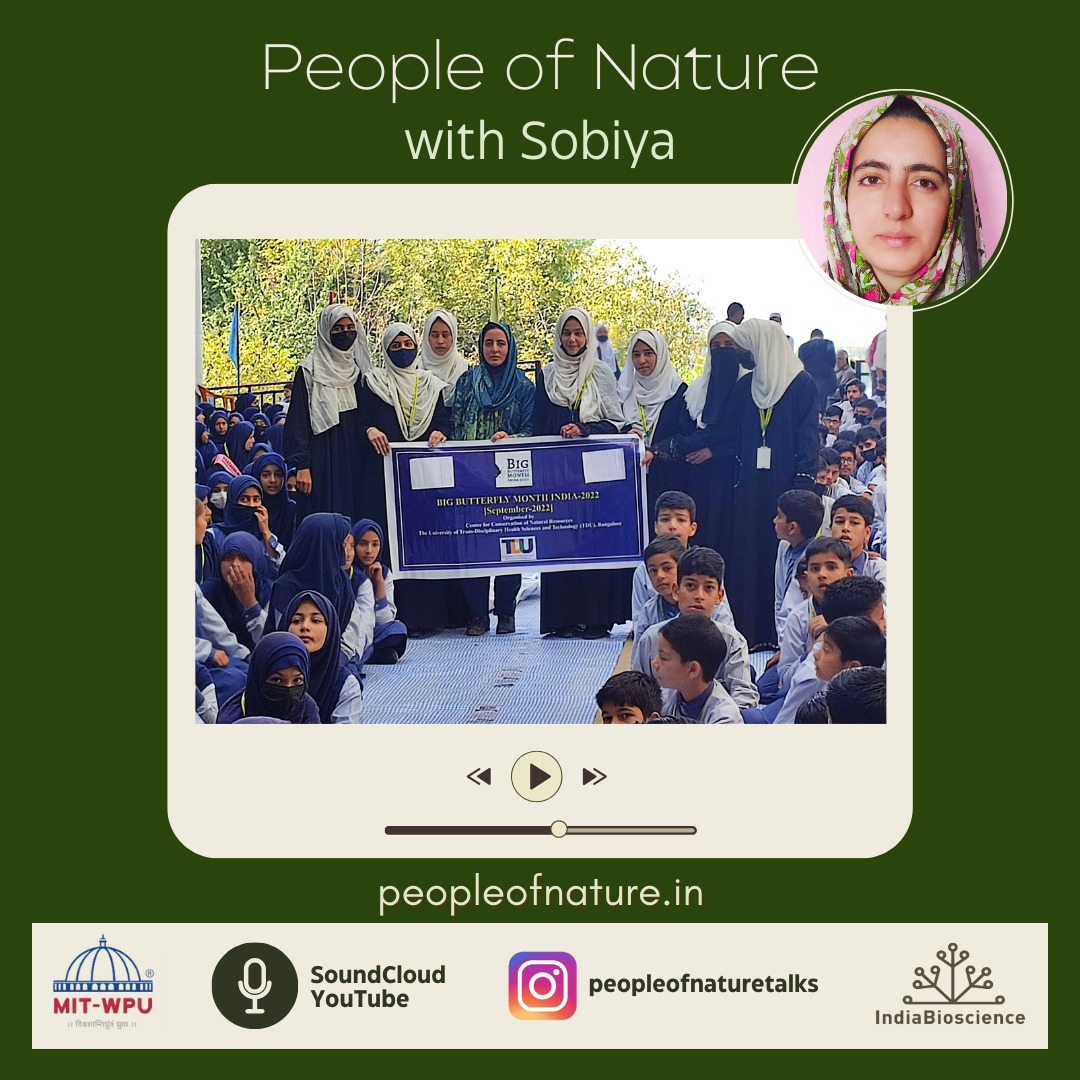 People of Nature Podcast Episode 12: 'Wings of Optimism' with Sobiya Syeed Sobiya leads insect conservation and youth nature outreach in Kashmir. Her inspiring story emits resilience and passion. Listen now! SoundCloud: shorturl.at/GZbJd YouTube: youtu.be/xY9bDICSl8E