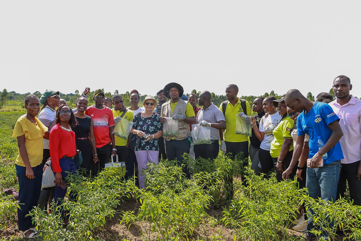 We successfully completed a one-week training workshop on pesticide residues in fruits & vegetables under the facilitation of Dr. Doris Gerlanch from @EUinUG, a team from @MAAIF_Uganda, @FeedtheFuture ISS 🇺🇬 and HortiFresh.
A lot was covered and we hope to see changes very soon.