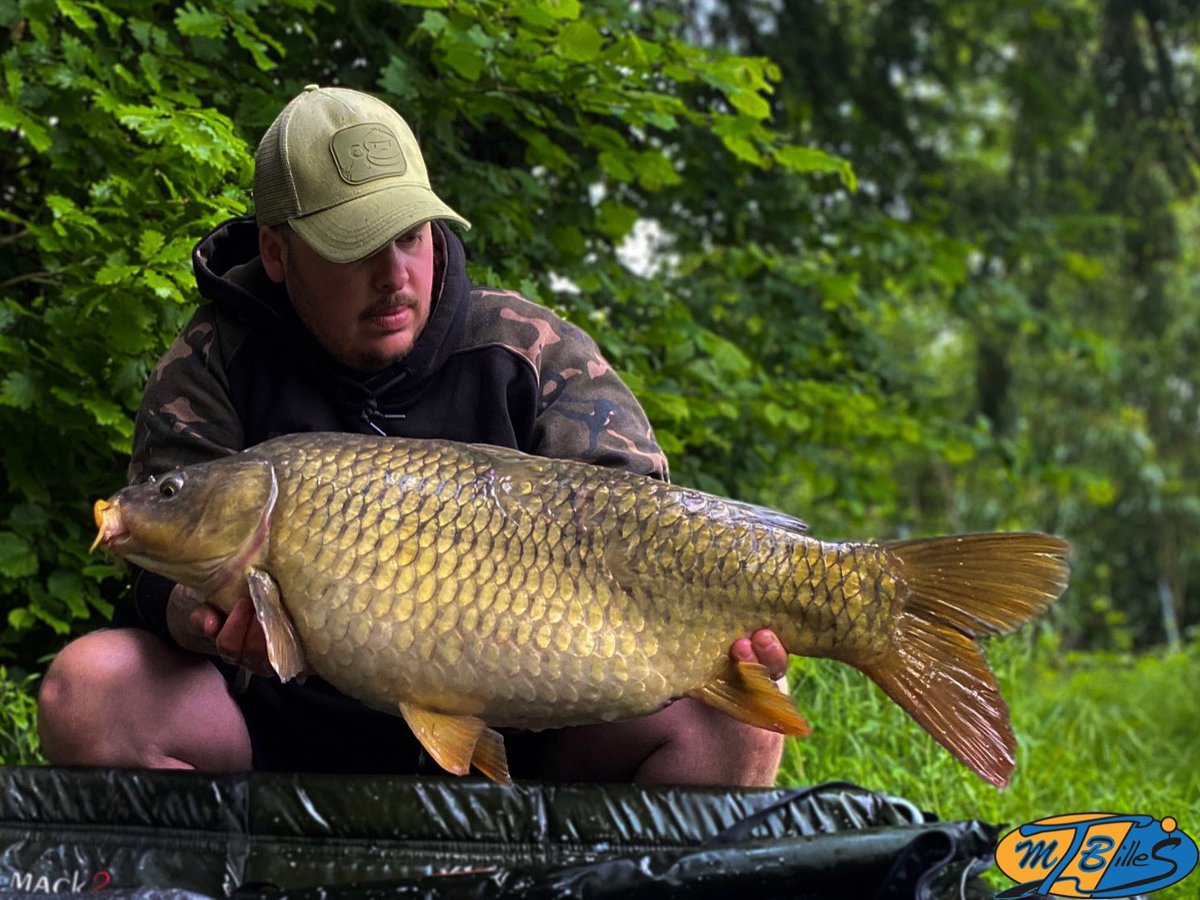 remilamamy's tweet photo. https://t.co/Pu1yWE0KK7 fish french 🇫🇷bait Mtbilles v2 #fish #river #nokill #TALK #appatfrançais #carpfishing #carphunter #bigfish #carpriver #fishsticks #fishfrançais #carpangler #carplife #carpwath #bouillette #bait #carpbait https://t.co/tlUMEZ6c4n