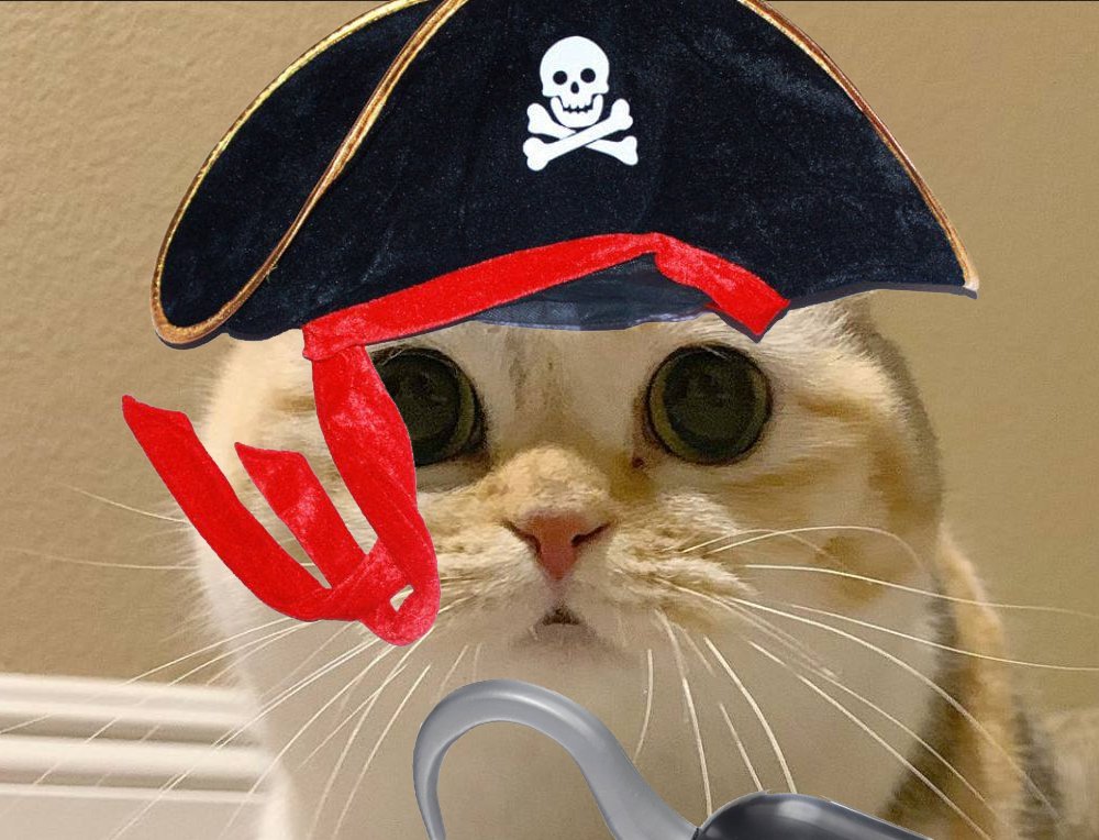 I want to be casted in 'Pirate Cat of The Caribbean', I'll definitely get a role as The Captain Jack Cat 🥔😺