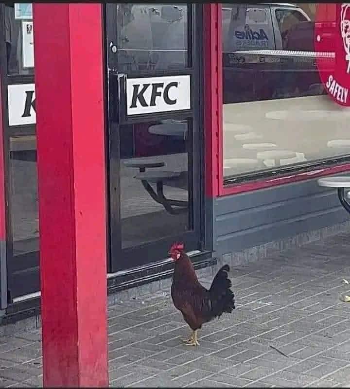 Reallad_24's tweet photo. NEEDS A CAPTION 😁 https://t.co/xrpzD3Pvlf
