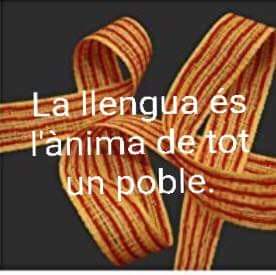 Bon dia companys i companyes de la lluita.
Bon dia catalans i catalanes que estimeu la vostra terra.
NI UN PAS ENRERE.
VISCA Catalunya lliure i sobirana i sempre més Puta Espanya #Dui #lliridemerda #1Oct #putaEspanya #republicacatalana #nioblitniperdó