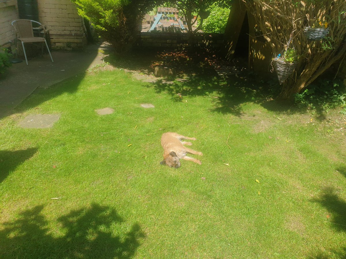 BrundleBoy's tweet photo. Another hot one today pals 🤪 https://t.co/mzHzoGdD2y