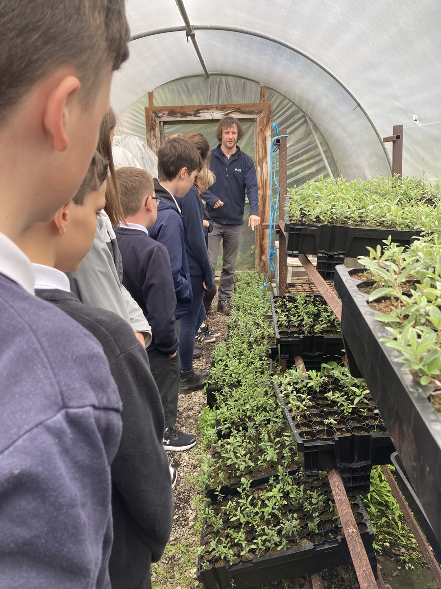 Killin PS tweet media