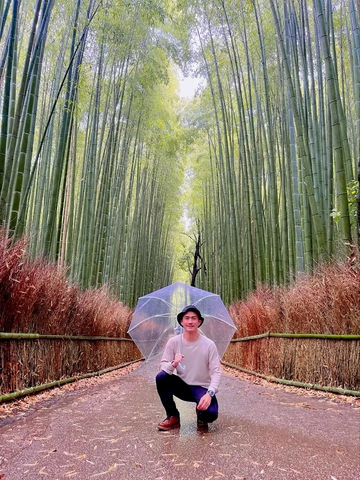 Arashiyama, Bamboo Forest Grove in Kyoto 🇯🇵
Kyoto, Japan 🇯🇵 
#japan #japantravel #photographychallenge
#KyotoBlockchain