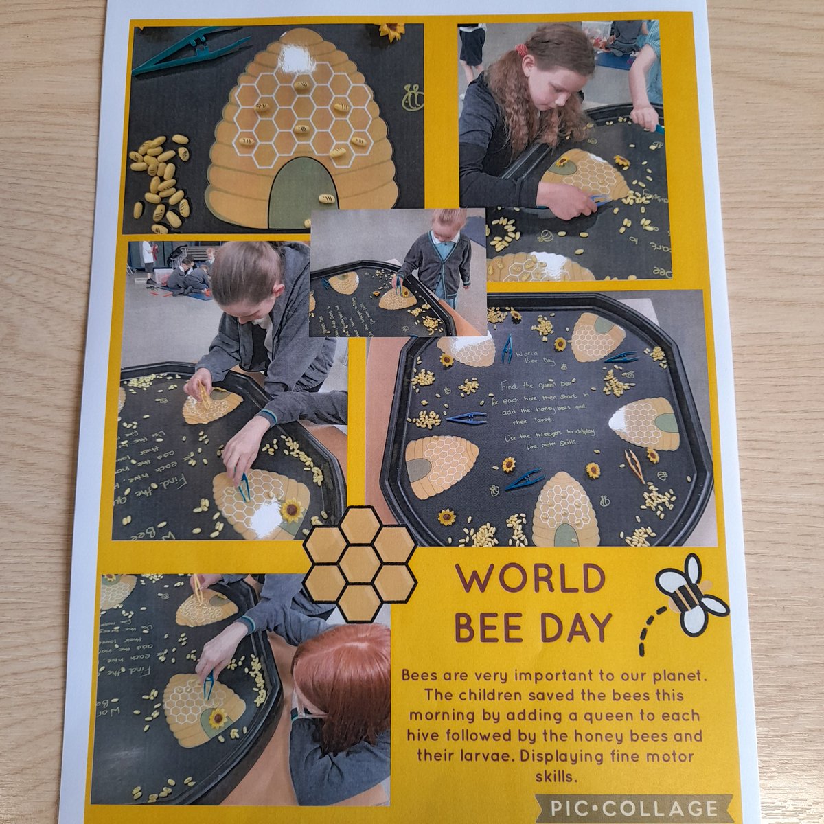 St Chad's CE Primary tweet media
