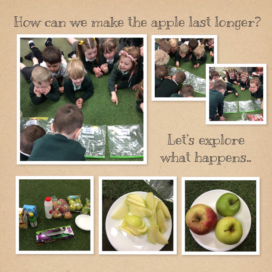 Yesterday Little Acorns started Science Week with an experiment. How can we make the apple last longer? We added various condiments to apple slices and can't wait to see which slice lasts the longest.