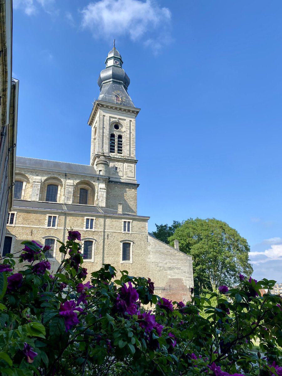 Mariia Baltais tweet media