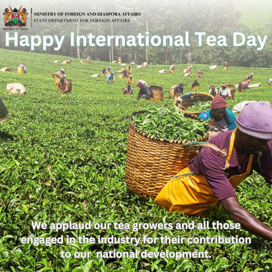 Embrace the warmth and tradition of International Tea Day! 🌿 As one of the top three exporters of tea worldwide, Kenya takes pride in sharing our rich heritage with the world. We appreciate the dedication and passion of our tea industry workers. From the fields to our cups,