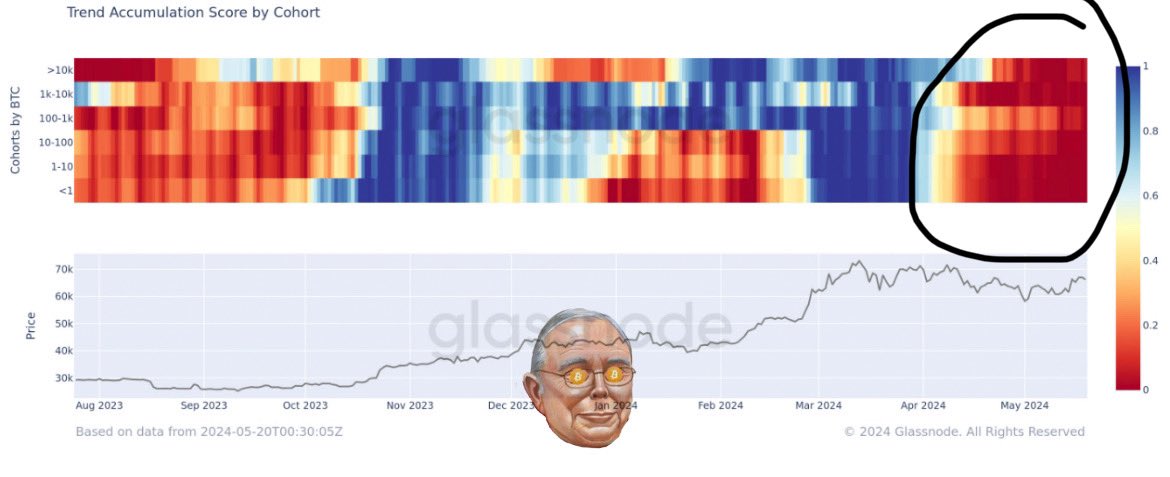 ThuanCapital tweet media