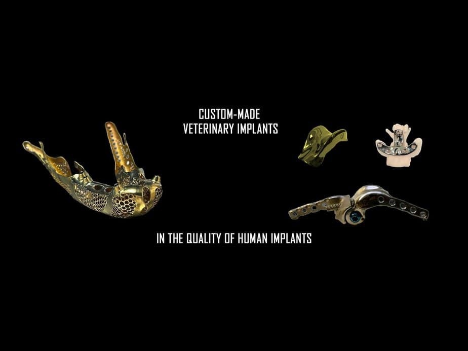 3dheals's tweet image. In 2015, during the development of a dental sector-related project, I visited Varinex, a Hungarian company that distributes 3D printing machines.

Read more 👉 lttr.ai/ASzJH

#Budapest #PREMET #InSilicoSimulation #Dental3Dprinting #ZsoltPászt… instagr.am/p/C7OKUihNHJs/