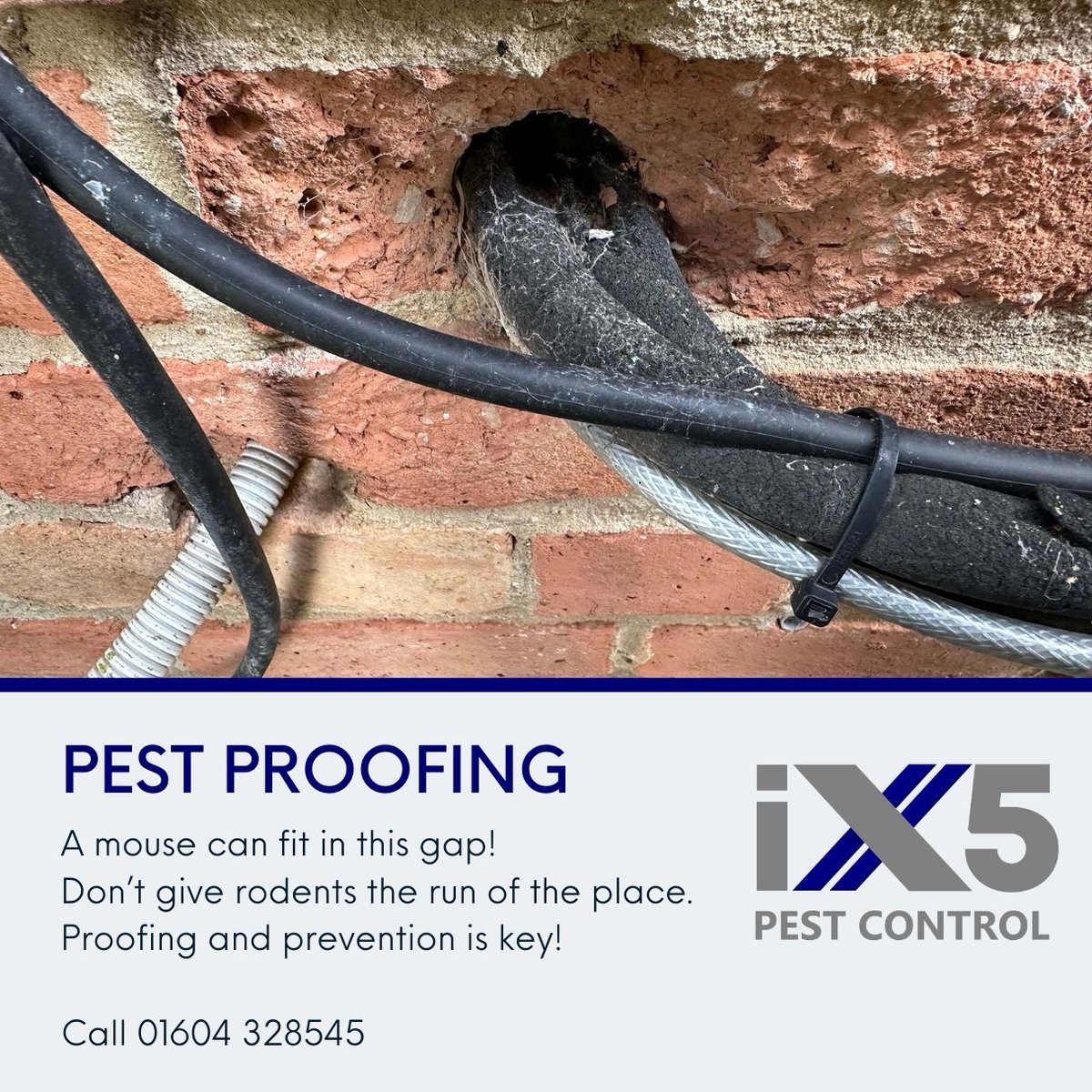 Reminder! 🏠Ensure your home or office is safe and secure from pests. Our latest blog offers practical advice on fortifying your property against rodents. Check it out now! #PestManagement #Pestproofing ix5.uk/effective-pest…